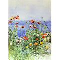 Poppies, Isles of Shoals II 