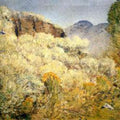 Harney Desert I 