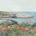 Poppies, Isles of Shoals I 