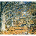 Connecticut Hunting Scene 