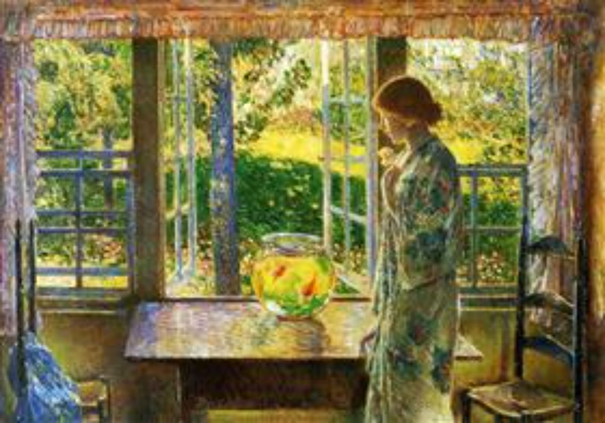 The Goldfish Window 