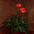 Studies of poppies Painting by John Constable