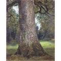 Study of the Trunk of an Elm Tree, c.1821 Painting by John Constable