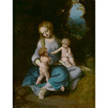 Madonna and Child with the Young Saint John 1516 