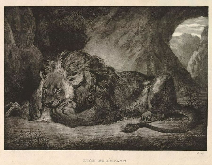Lion with a Rabbit
