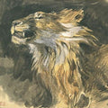 Head of a Lion