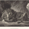 Lion of the Atlas