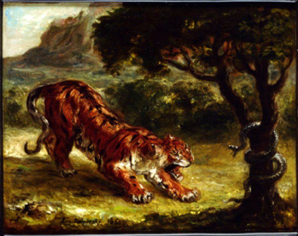 Tiger and Snake