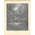 Submersion in Lethe 