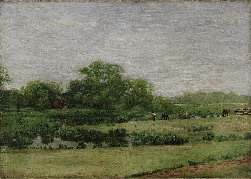 The Meadows, Gloucester 