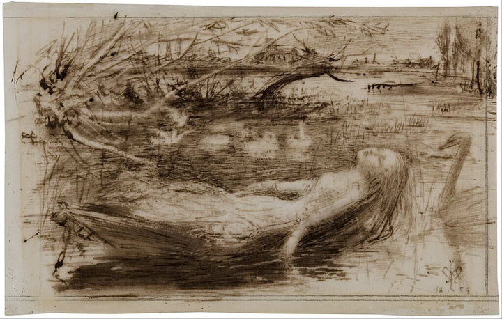 The Lady of Shalott
