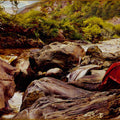 A Waterfall in Glenfinlas Painting by John Everett Millais