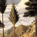 Deposition from the Cross (detail 4) 1437 Painting by Fra Angelico