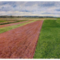 Landscape Study In Yellow And Rose
