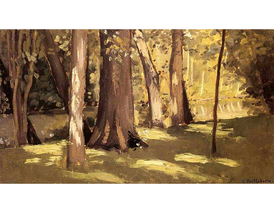 The Yerres Effect Of Light
