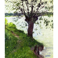 Willow On The Banks Of The Seine