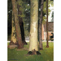 Yerres Through The Grove The Ornamental Farm
