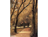 Yerres Path Through The Old Growth Woods In The Park artwork preview
