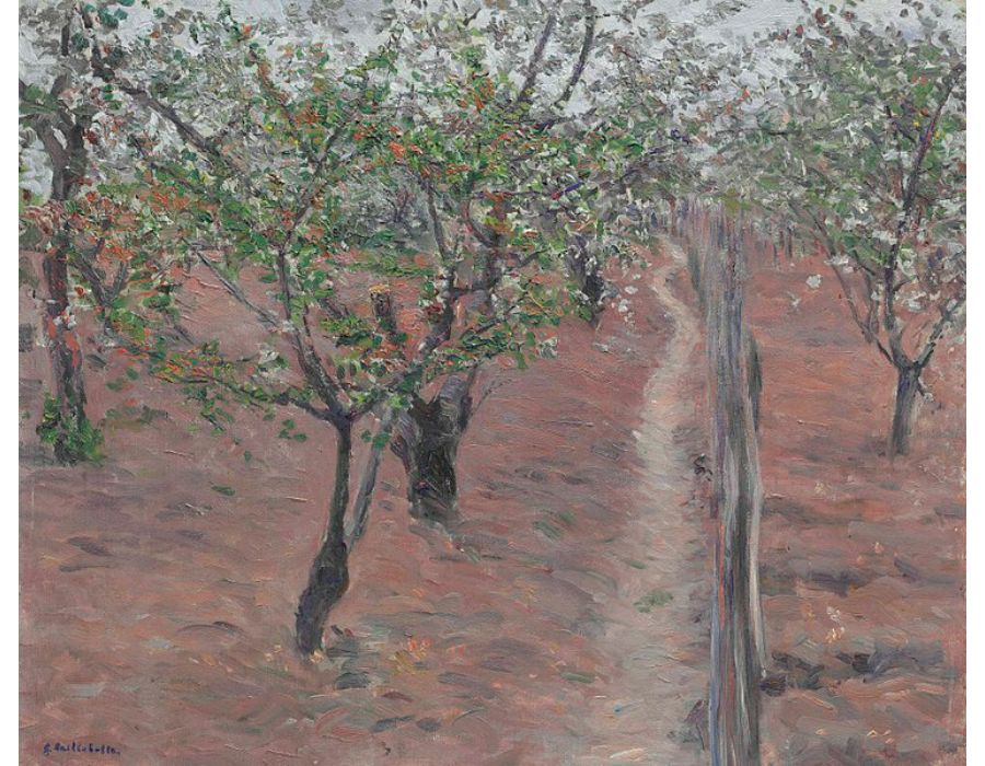 Verger, arbres en fleurs, Petit Gennevilliers
