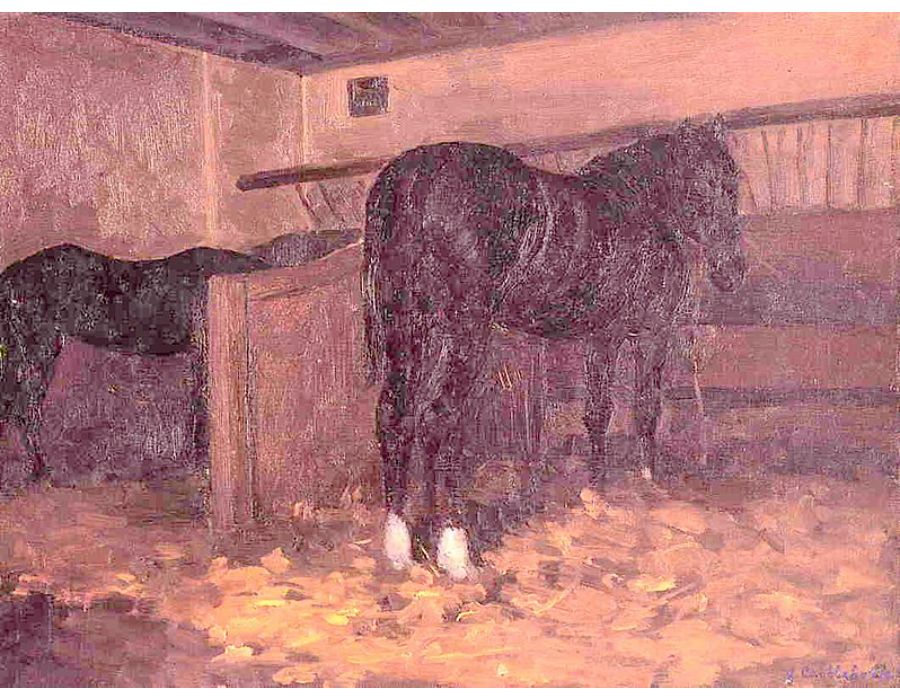Horses In The Stable
