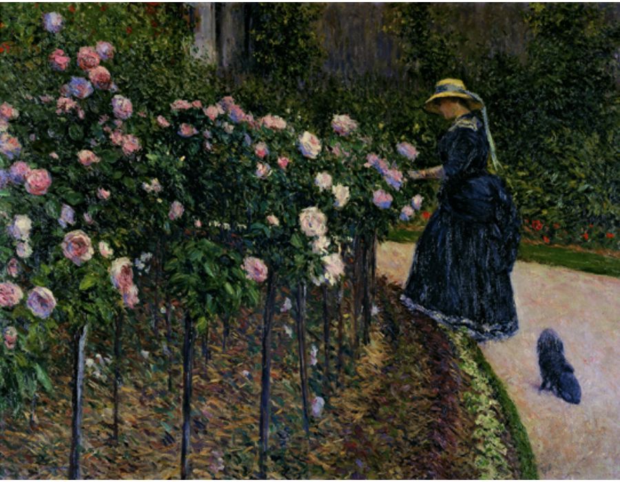 Roses Garden At Petit Gennevilliers
