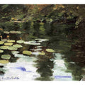 Yerres On The Pond Water Lilies
