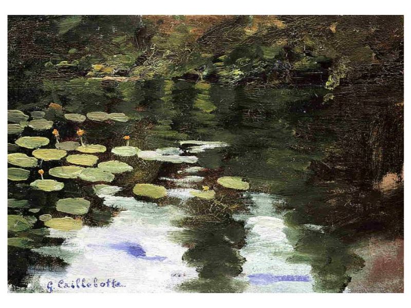 Yerres On The Pond Water Lilies
