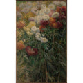Chrysanthemums Garden At Petit Gennevilliers