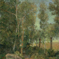 Donkey By The Lane 