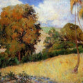 Meadow In Martinique 