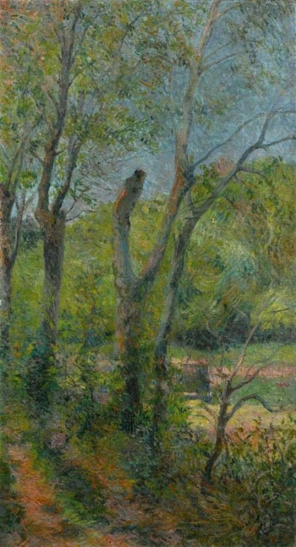Willows 