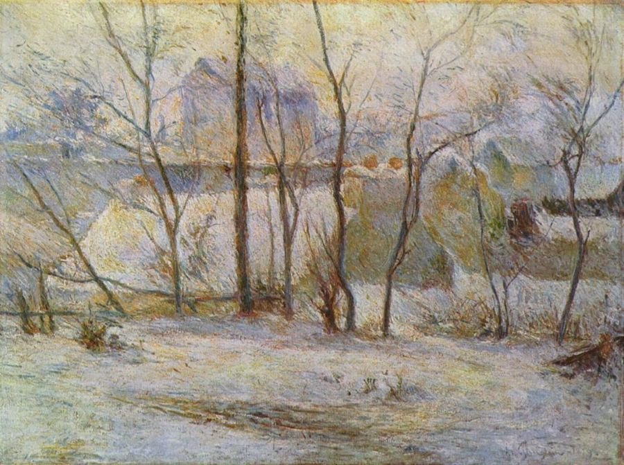 Garden in the snow 2 