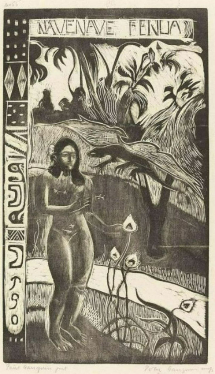 Nave Nave Fenua (Terre delicieuse) 