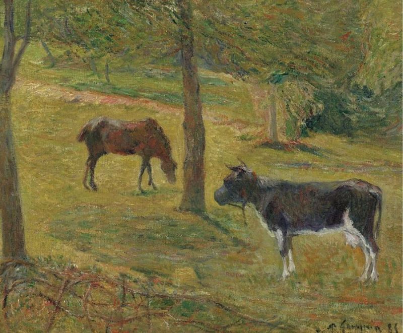 Vache Et Cheval Dans Un Pre 