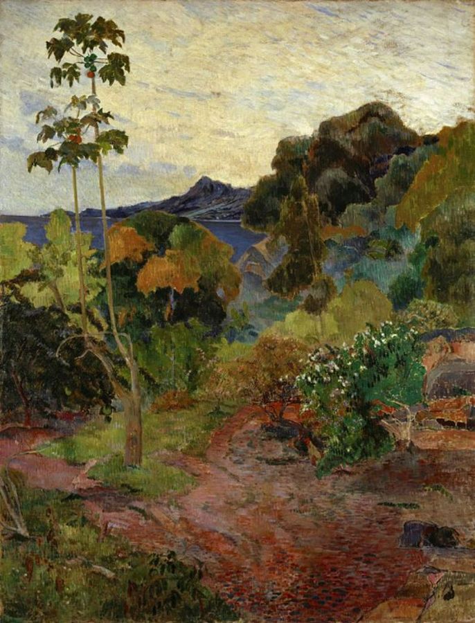 Tropical Vegetation, Martinique 