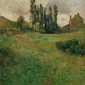 Dogs Running Through A Field 