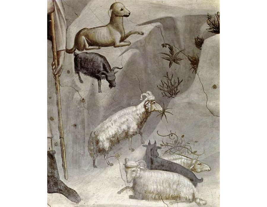 Legend of St Francis- 19. Stigmatization of St Francis 1297-1300