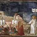 Scrovegni 37
