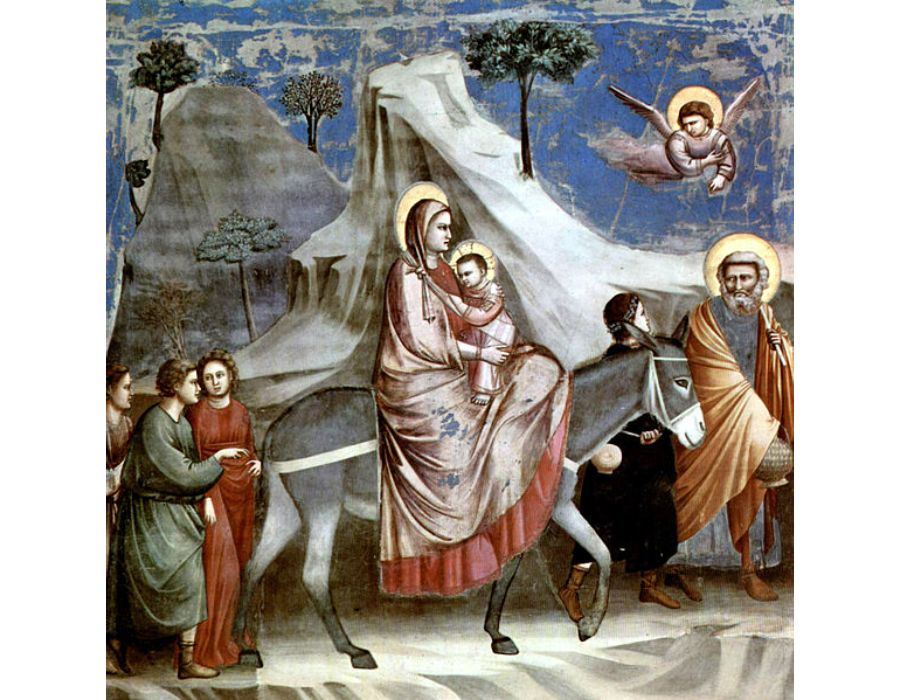 Scrovegni 21
