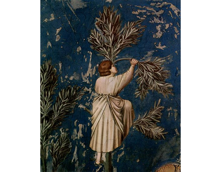 Christ Entering Jerusalem Detail 1 1304-1306
