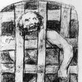 A Lunatic behind Bars 