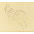 Cheval (recto) 