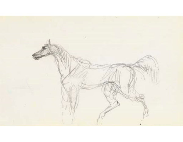 Cheval 2 