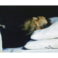Historian Nikolai Ivanovich Kostomarov in His Coffin 
