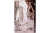 Brunhilde Observing Gunther, Whom She Has Tied to the Ceiling 1807 Painting artwork preview