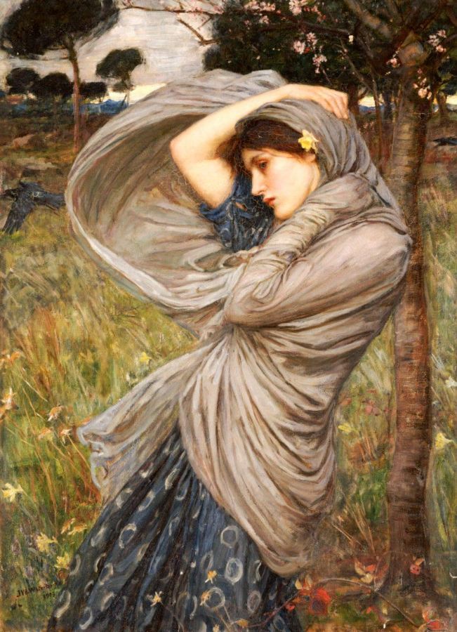 Boreas study 1904 