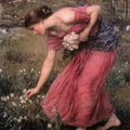 Narcissus 1912 
