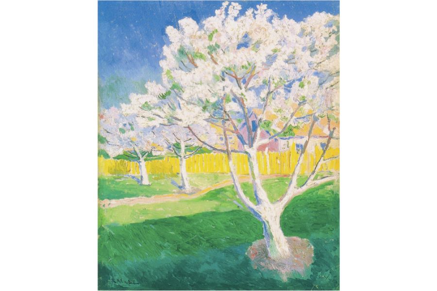 Apple Tree in Blossom