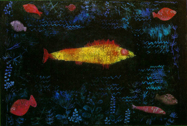 The Goldfish 