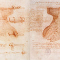 Double manuscript page on the Sforza monument c. 1493 